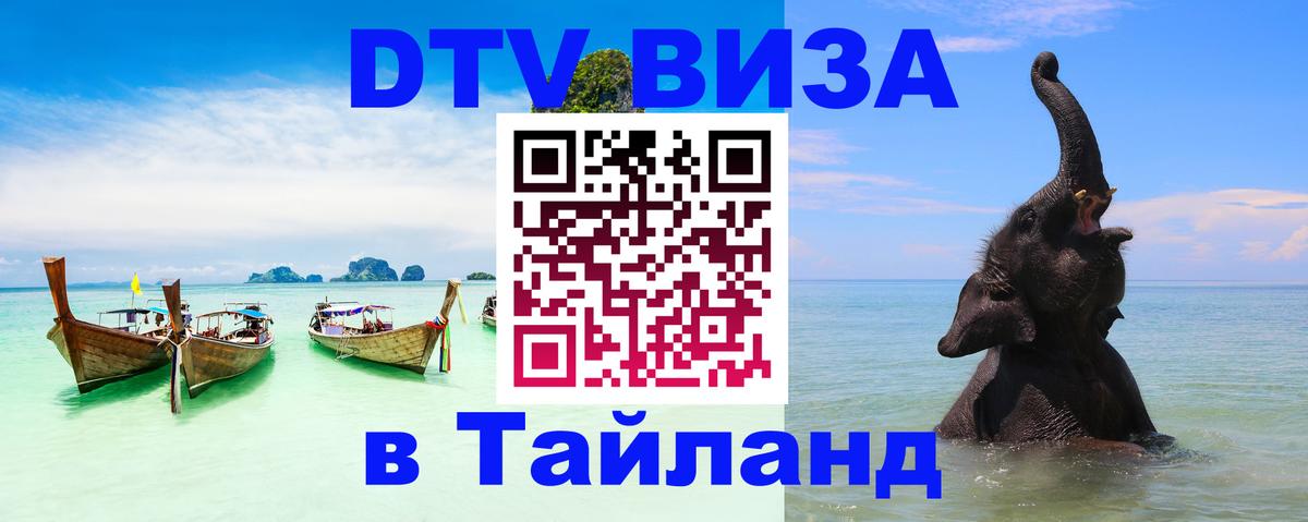 Оформление DTV визы под ключ: стоимость и тарифы, только загранпаспорт - 21.11.2025 